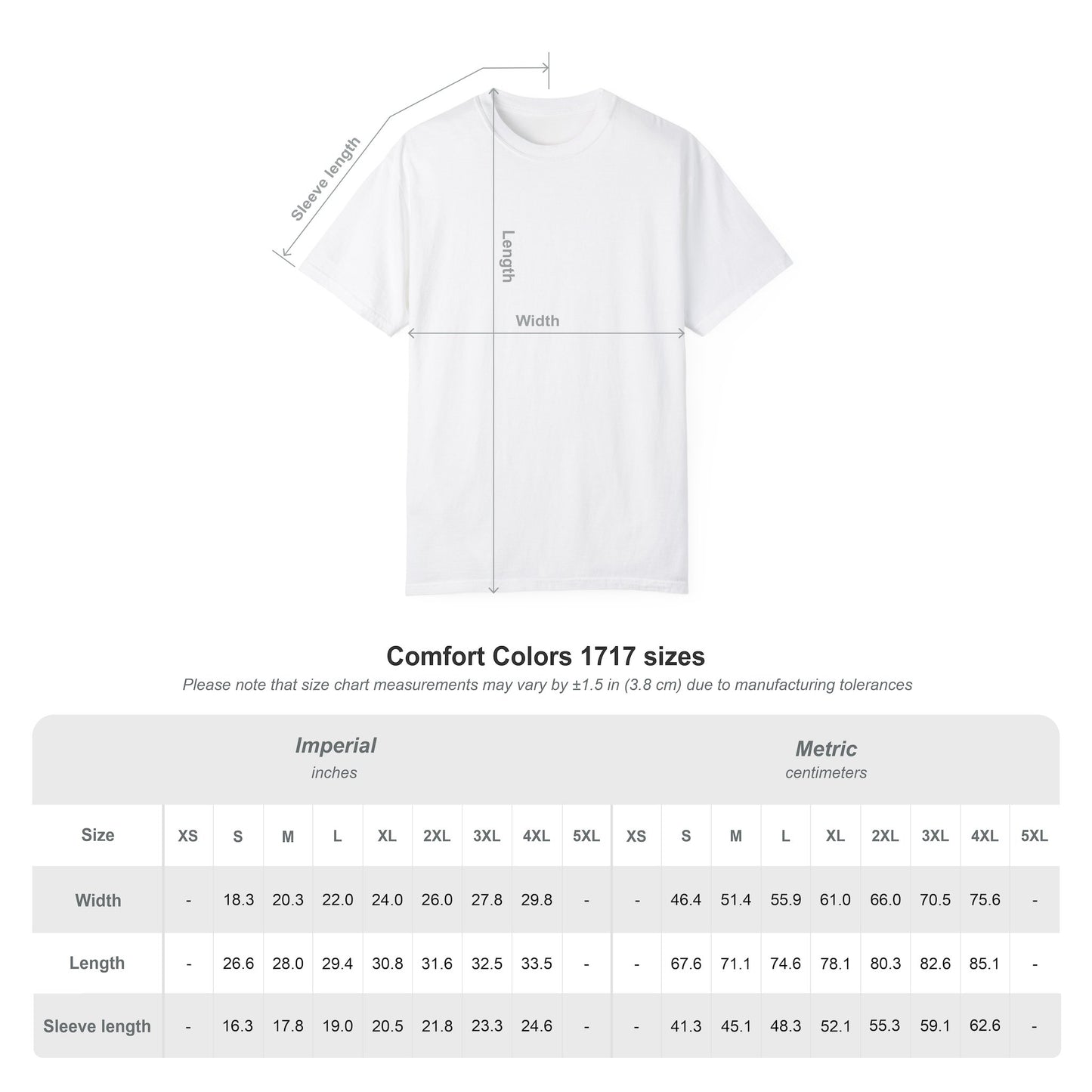 Air Force 10th T-shirt (Comfort Colors)